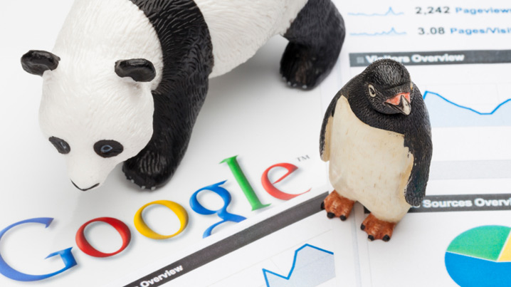 Google algorithm and your SEO